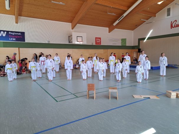 Sport und Familienfest / Vorführung