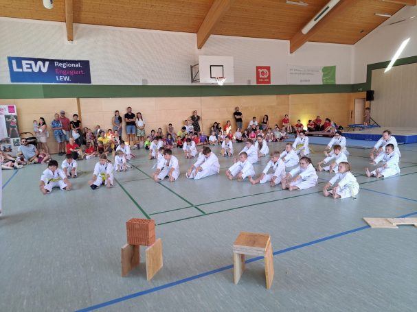 Sport und Familienfest / Vorführung