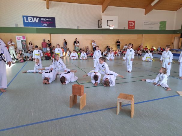 Sport und Familienfest / Vorführung